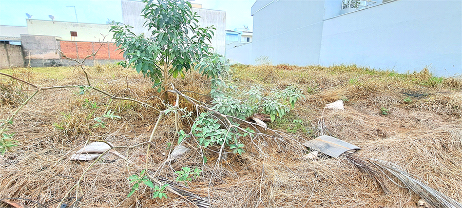 Foto REO1086883