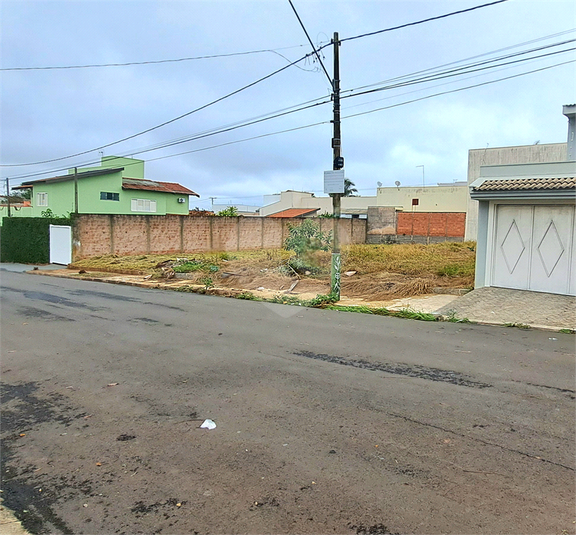 Foto REO1086883