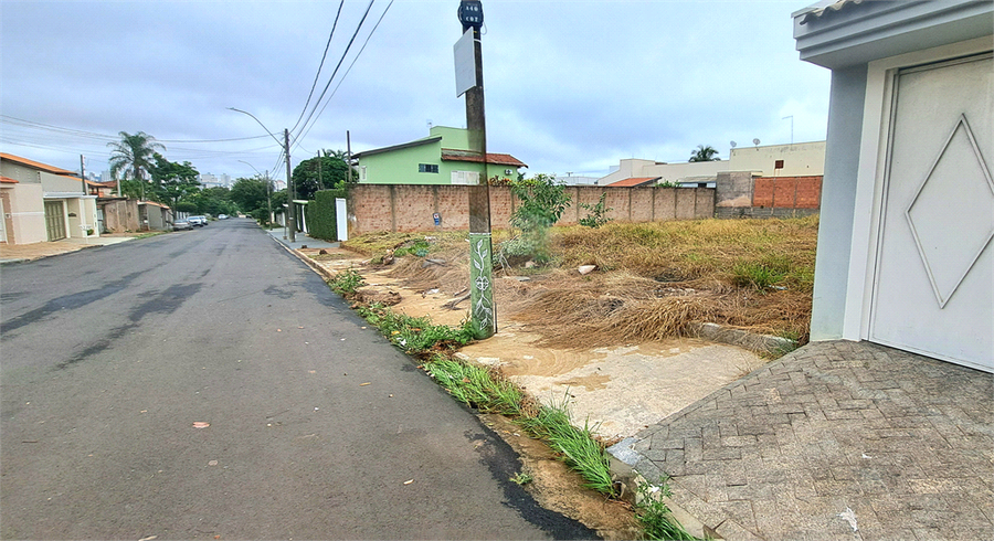 Foto REO1086883