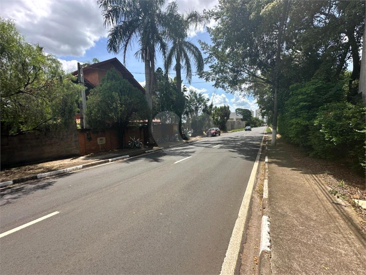 Foto REO1086919