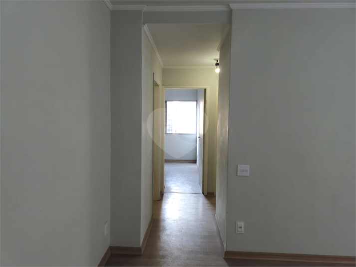 Foto REO1086920