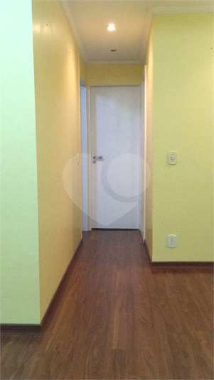 Foto REO1086925