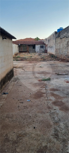 Foto REO1086930