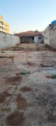 Foto REO1086930