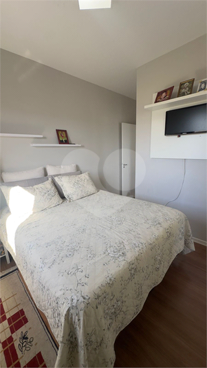 Foto REO1086935