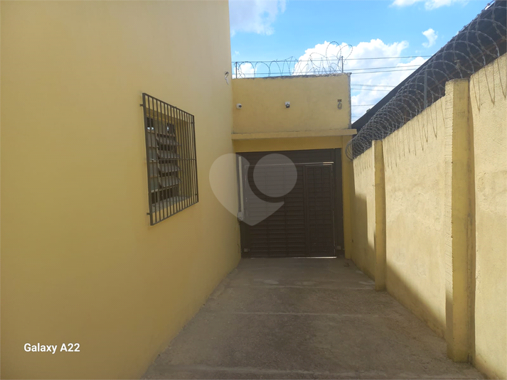 Foto REO1086939