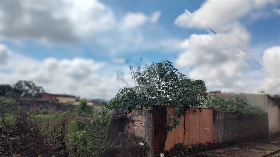 Foto REO1086943