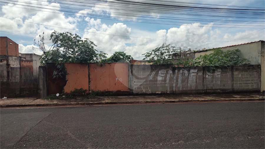 Foto REO1086943