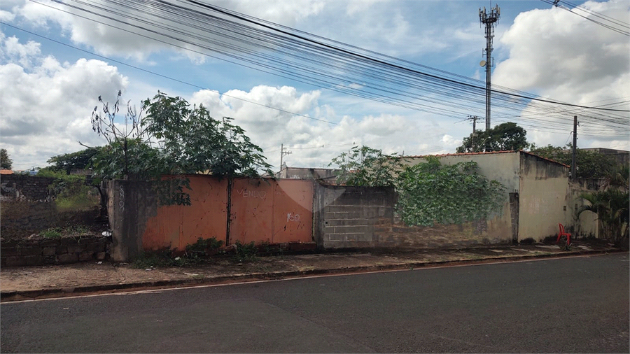 Foto REO1086943
