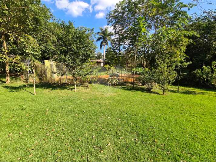 Foto REO1086946