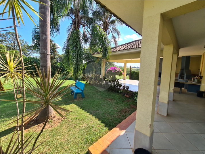 Foto REO1086946