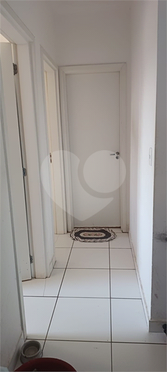 Foto REO1086947