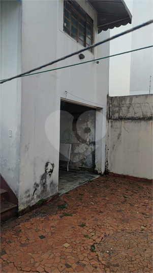 Foto REO1086948