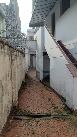 Foto REO1086948
