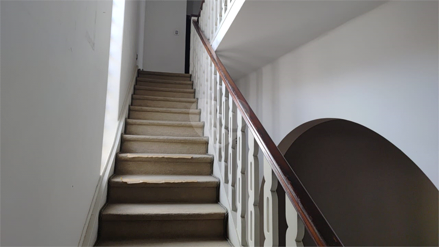 Foto REO1086948