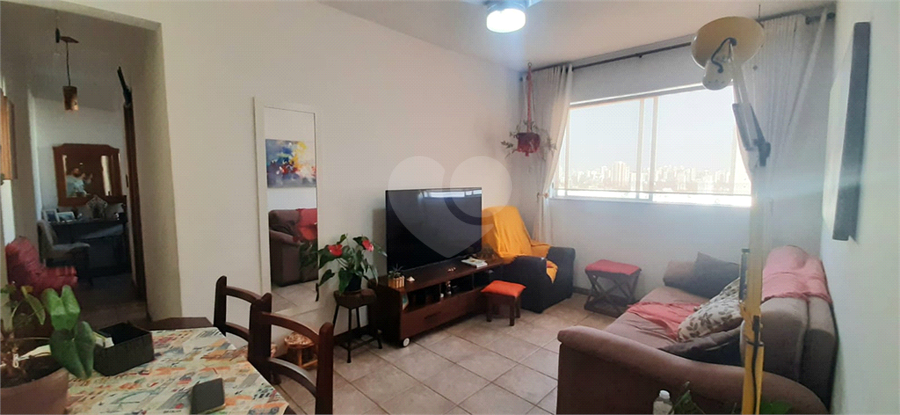 Foto REO1086949