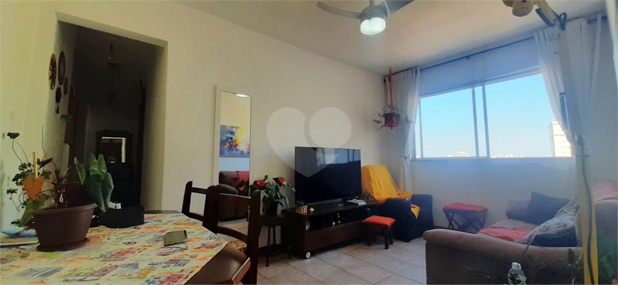 Foto REO1086949