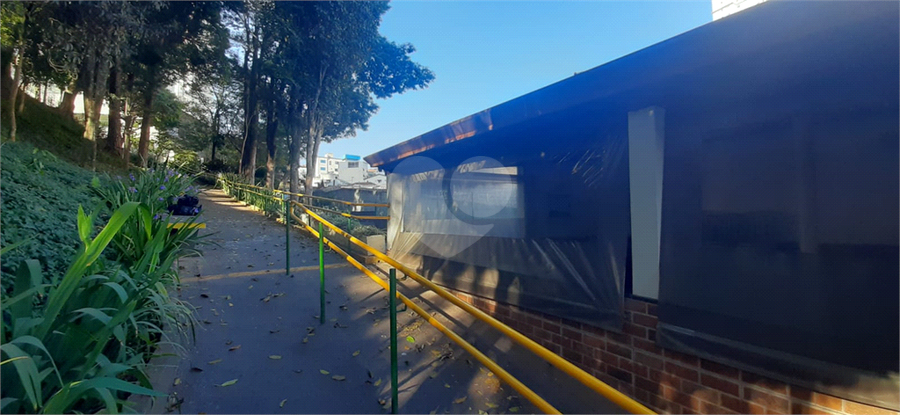 Foto REO1086949