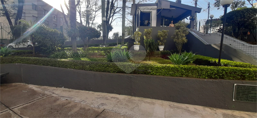 Foto REO1086949
