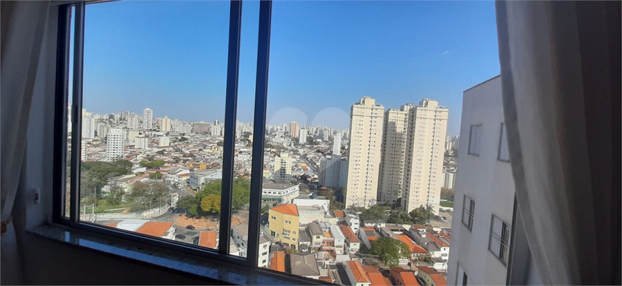 Foto REO1086949