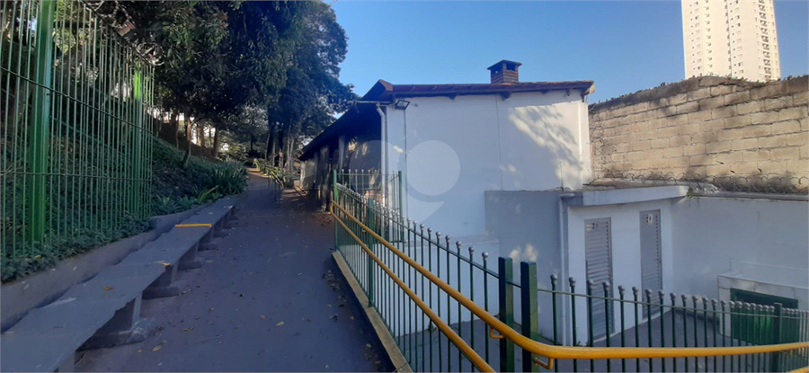 Foto REO1086949