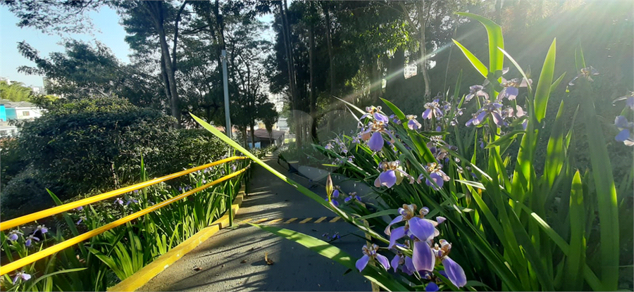 Foto REO1086949