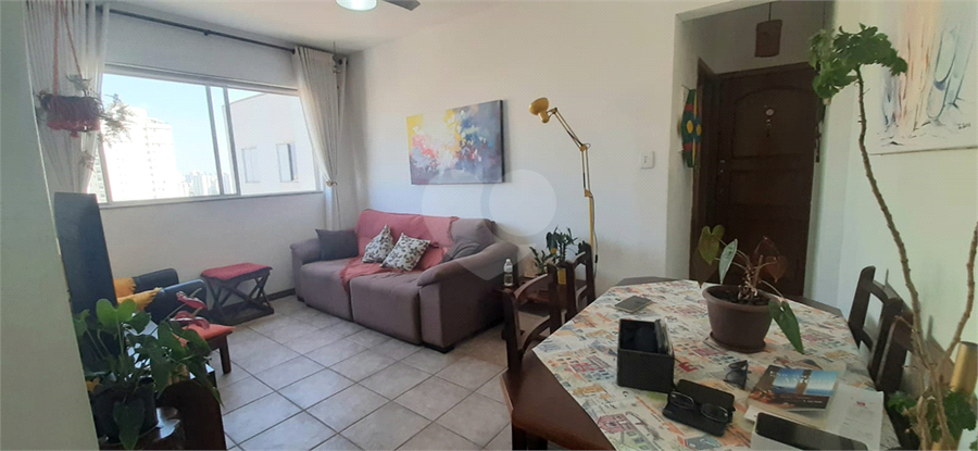 Foto REO1086949