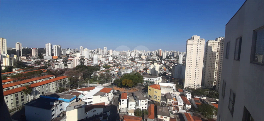 Foto REO1086949