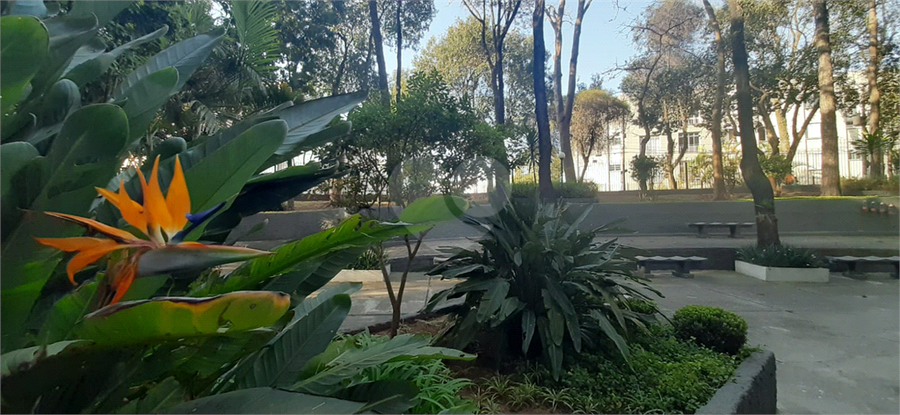 Foto REO1086949
