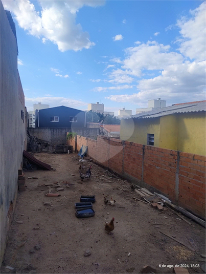 Foto REO1086950