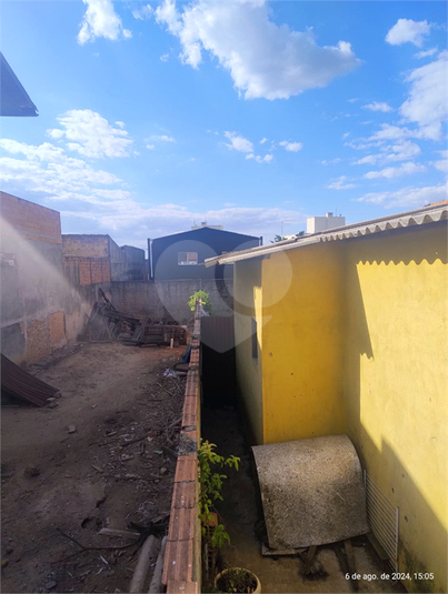 Foto REO1086950