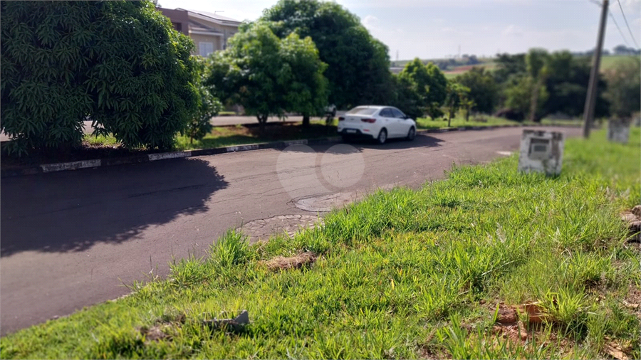 Foto REO1086951