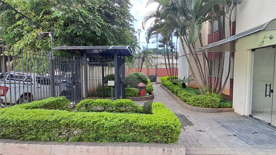 Foto REO1086955