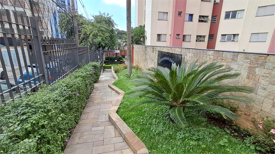 Foto REO1086955