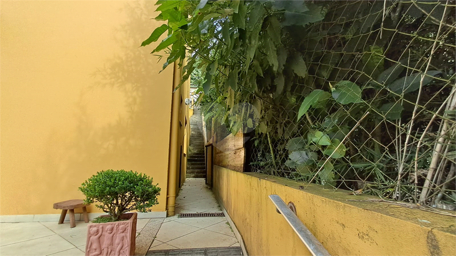 Foto REO1086956