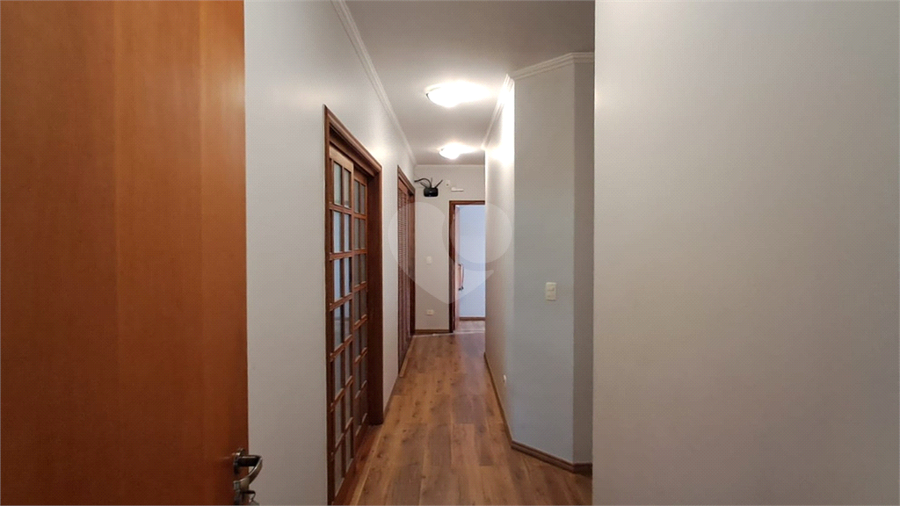 Foto REO1086956