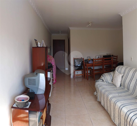 Foto REO1086957
