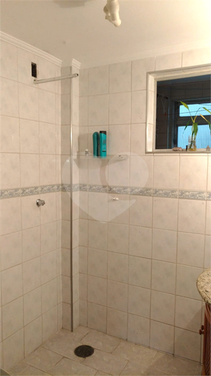 Foto REO1086957