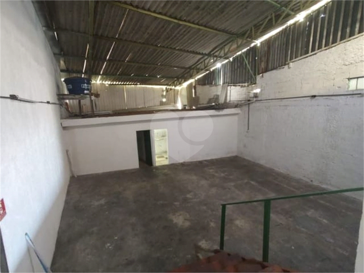 Foto REO1086965