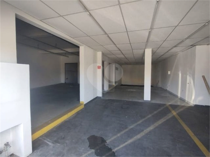 Foto REO1086965