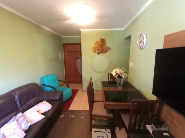 Foto REO1086987
