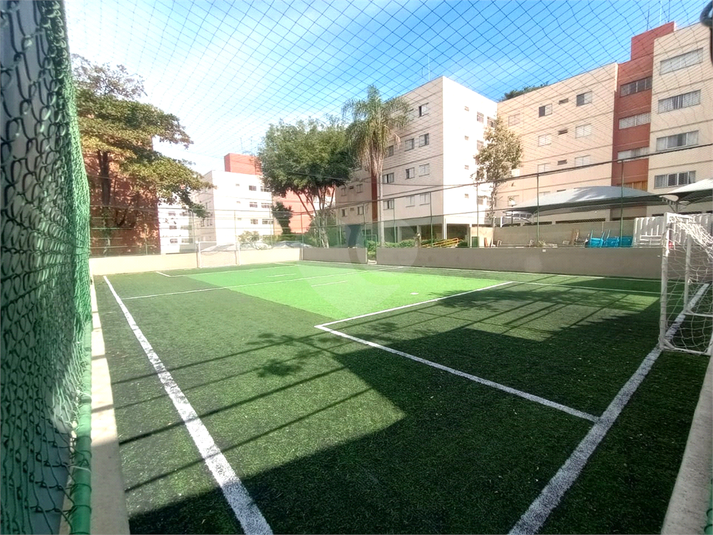 Foto REO1086987
