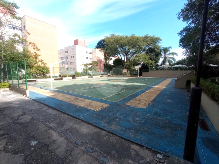Foto REO1086987