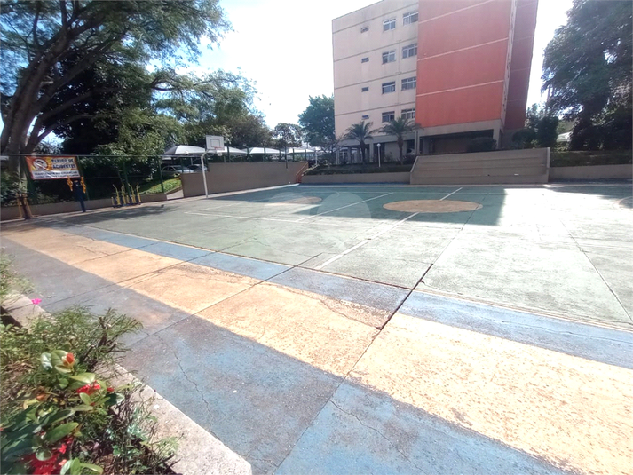 Foto REO1086987