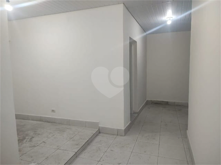 Foto REO1086989