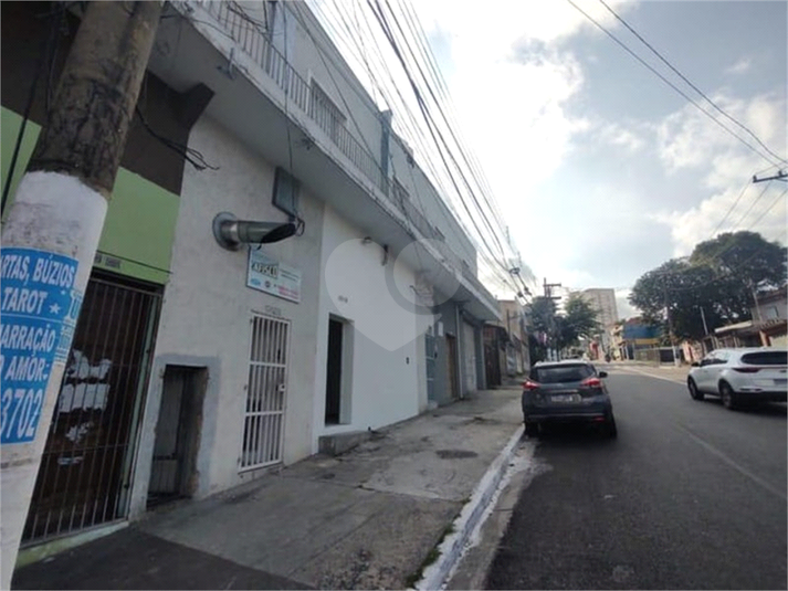 Foto REO1086989