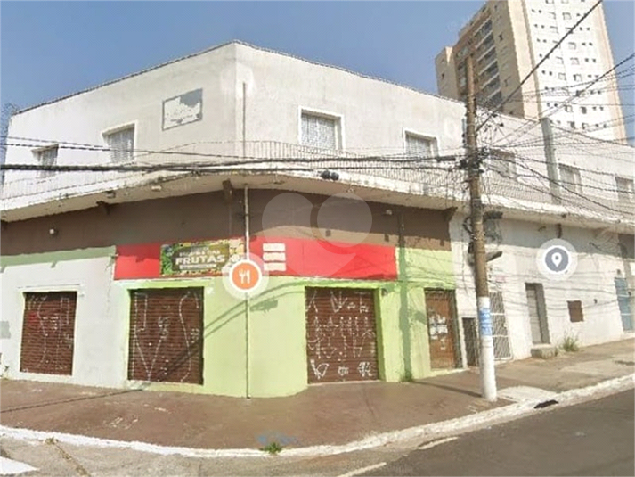 Foto REO1086989