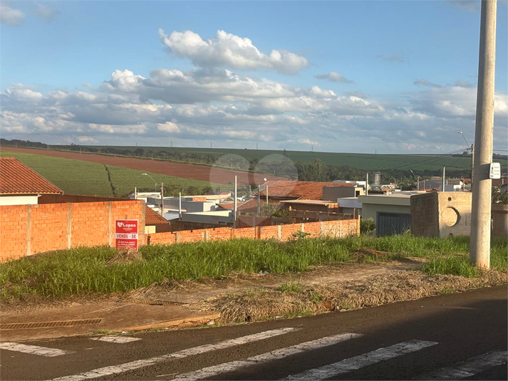 Foto REO1086990