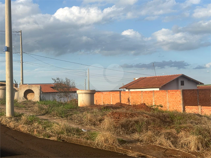Foto REO1086990