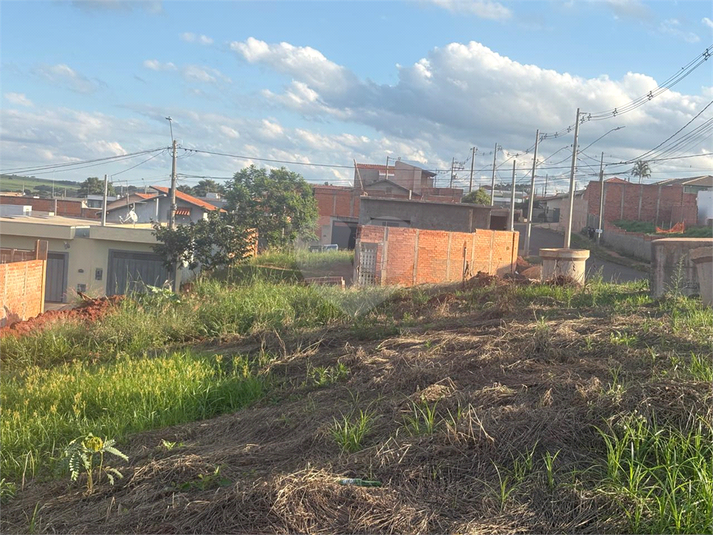 Foto REO1086990